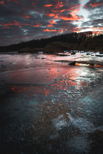 Commercial Photo (314).jpg