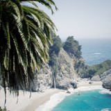 Commercial Photo (509)