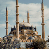 Commercial Photo (499)