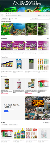 screencapture ebay co uk str thekoihut 2023 06 09 18 20 23.png