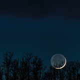Commercial Photo (416)