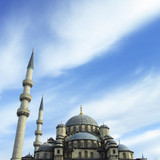 Commercial Photo (443)