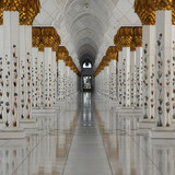 Commercial Photo (430)