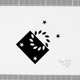 SLAP 6