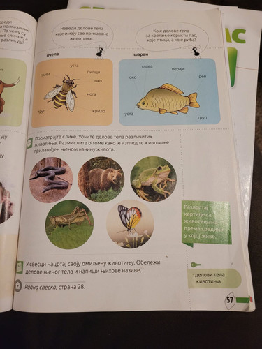 viber image 2023 03 06 05 59 14 138.jpg