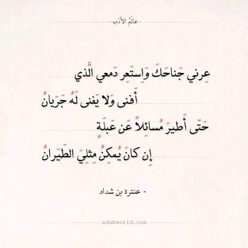 b7cff32c0b253b6d2604def05f21e670.png