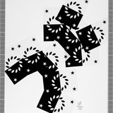 SLAP 56