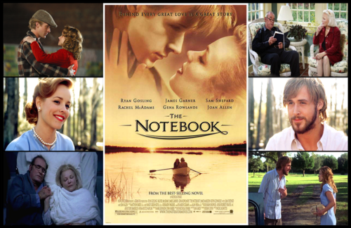 Pamiętnik / The Notebook (2004) PL.1080p.BRRip.H264-wasik / Lektor PL