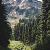 Commercial Photo (518)