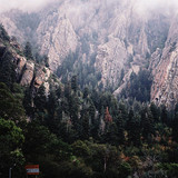 Commercial Photo (519)