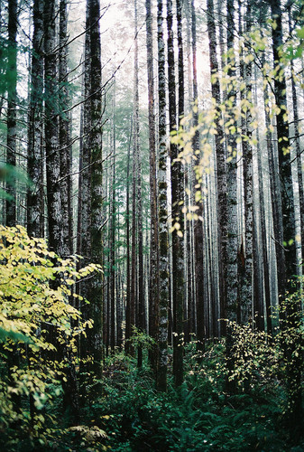 Commercial Photo (521).jpg
