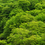 Commercial Photo (533)