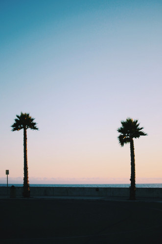 Commercial Photo (531).jpg