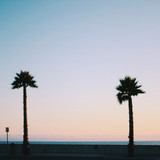 Commercial Photo (531)