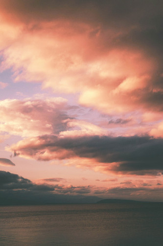 Commercial Photo (542).jpg