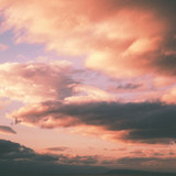 Commercial Photo (542)