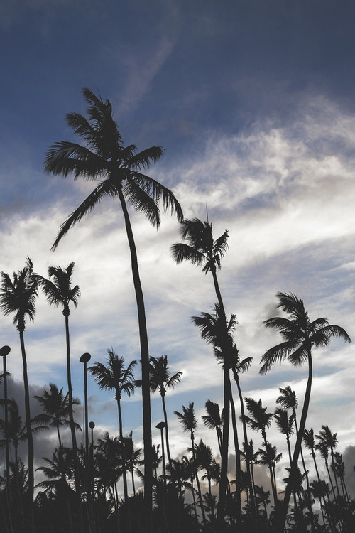 Commercial Photo (548).jpg