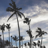 Commercial Photo (548)