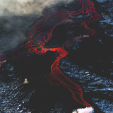 Commercial Photo (560)