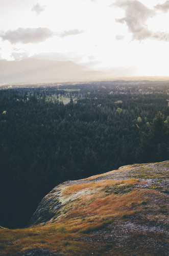 Commercial Photo (590).jpg
