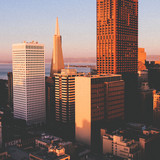 Commercial Photo (581)