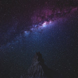 Commercial Photo (587)