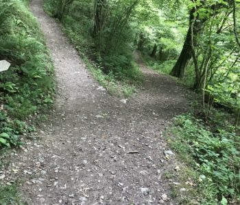 anger management.jpg