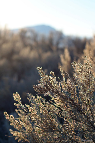 Commercial Photo (878).jpg