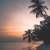 Commercial Photo (879)