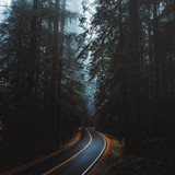 Commercial Photo (894)