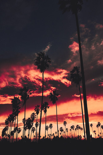 Commercial Photo (716).jpg