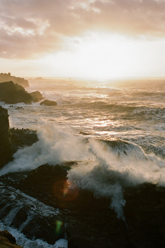 Commercial Photo (718).jpg