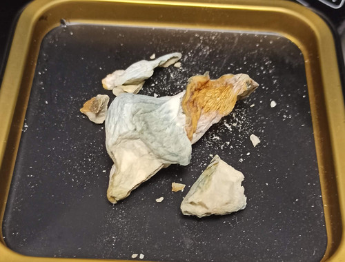 IMG 20230609 173621 (1).jpg