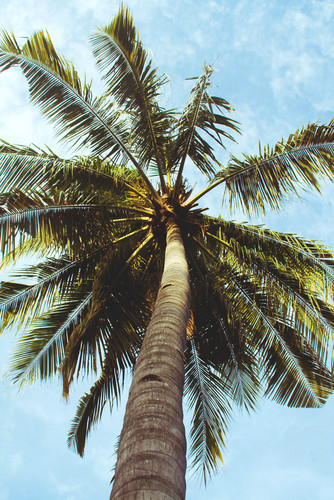 Commercial Photo (779).jpg