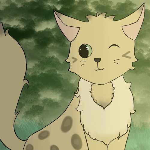 IMG 4855.png