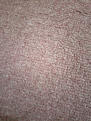 scaled 7df3c557 1c25 41eb a003 ae17341f74d34286168097659707186.jpg