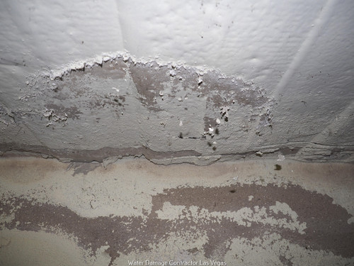 Nulook floor 8.jpg