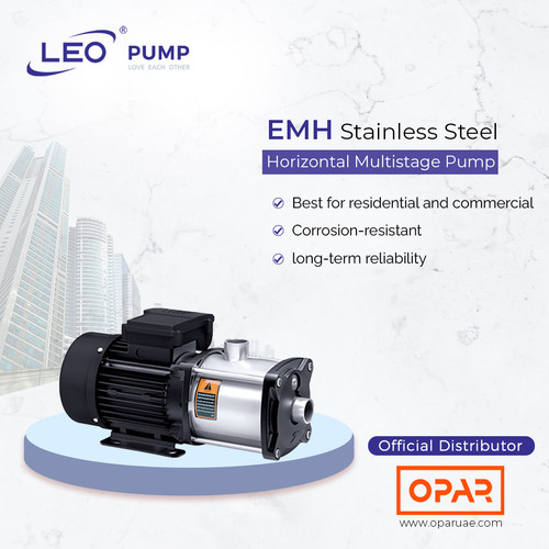 Leo EMH pump.jpg