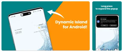 Dynamic Spot.webp