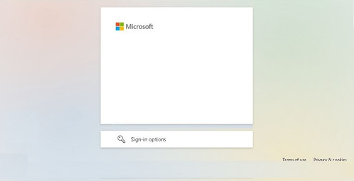 Microsoftpage pic.jpg