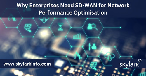 Why Enterprises Need SD-WAN for Network Performance Optimisation (1).jpg
