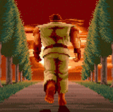 11.gif