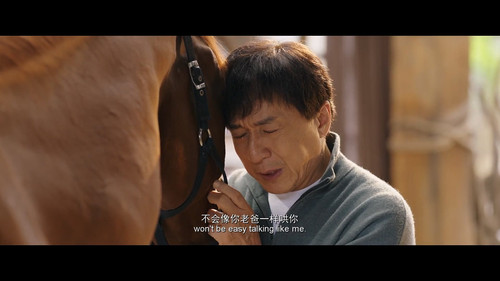 Ride.On.2023.1080p.WEB DL.AVC.AAC.mkv 20230603 134710.252.jpg