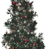 image removebg preview (10).png