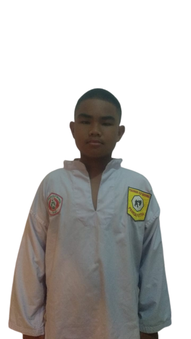 scaled SATRIA ALVES.png