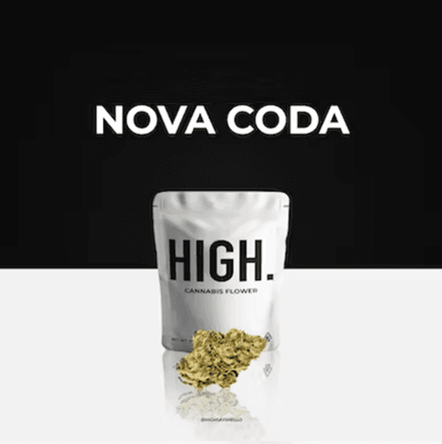 HIGH NOVA CODA 3 5.png