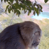 ezgif 3 12d31ac7aa.gif