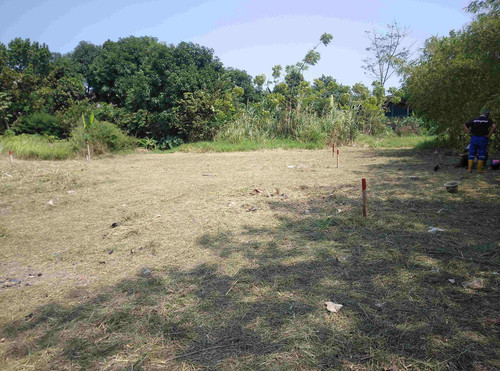 Compress 20230606 222457 7672.jpg