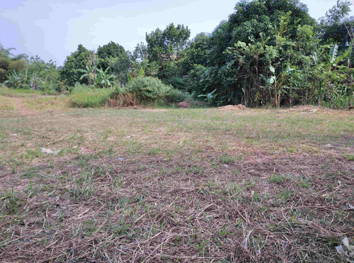 Compress 20230606 222328 8188.jpg