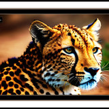 Cheetah In The Wild (1)